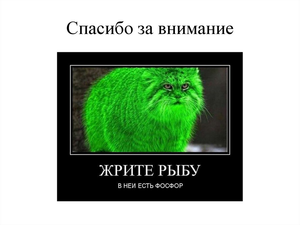 Спасибо за внимание