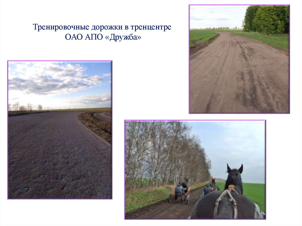 Тренировочные дорожки в тренцентре ОАО АПО «Дружба»