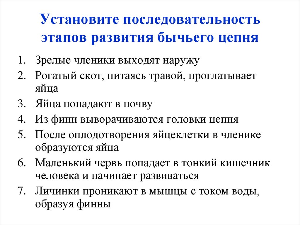 Установите последовательность этапов развития бычьего цепня