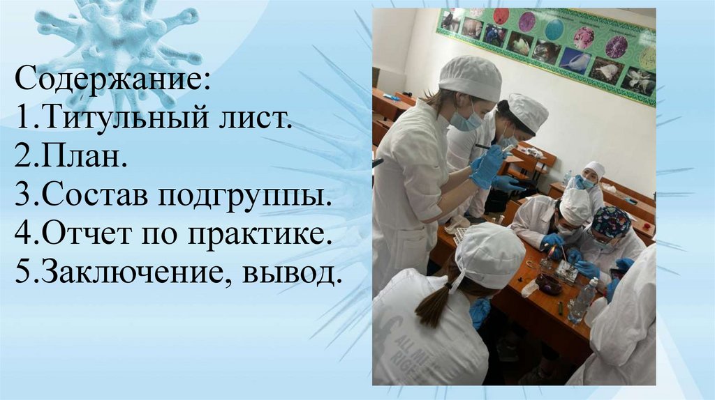 Содержание: 1.Титульный лист. 2.План. 3.Состав подгруппы. 4.Отчет по практике. 5.Заключение, вывод.