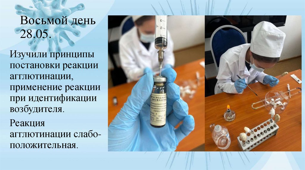 Восьмой день 28.05.