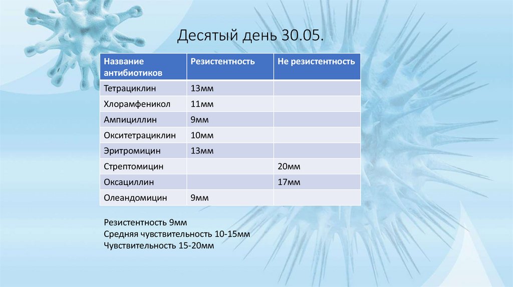 Десятый день 30.05.