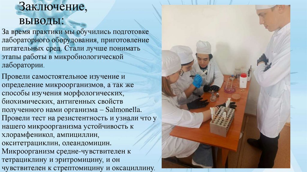 Заключение, выводы: