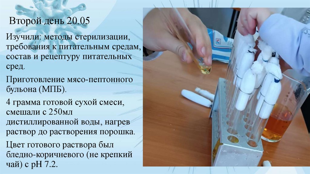 Второй день 20.05