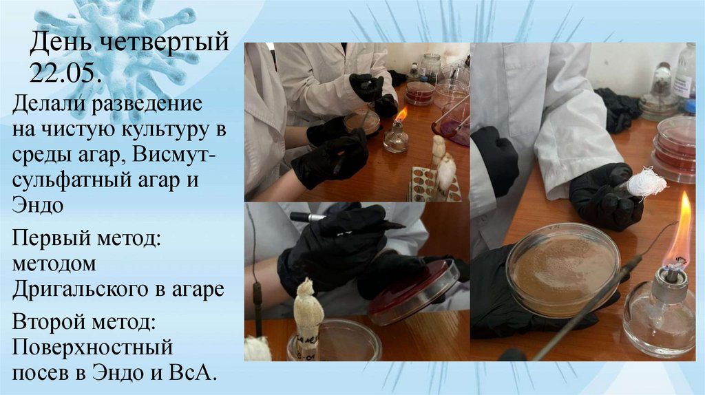 День четвертый 22.05.