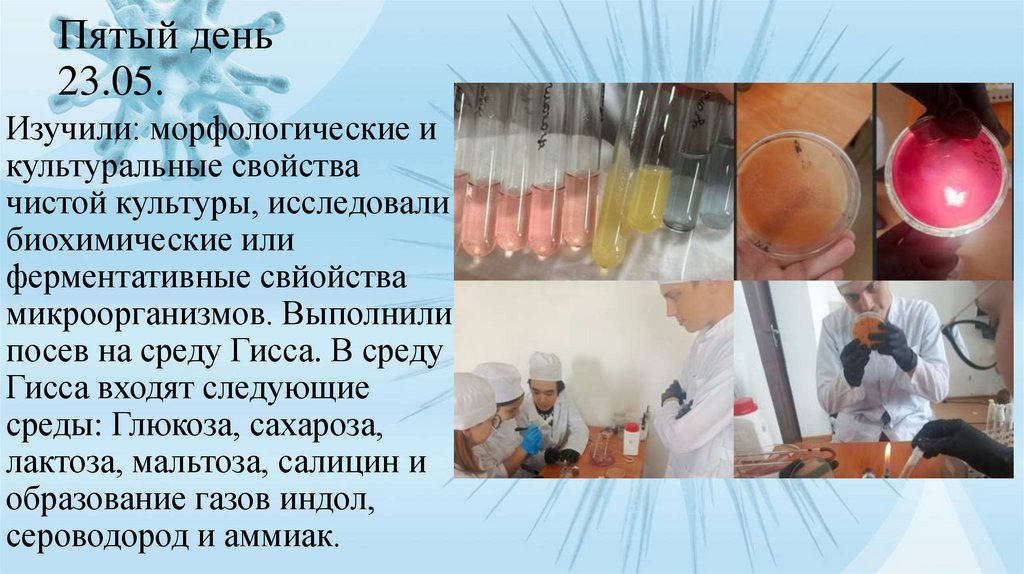 Пятый день 23.05.