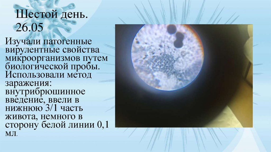 Шестой день. 26.05