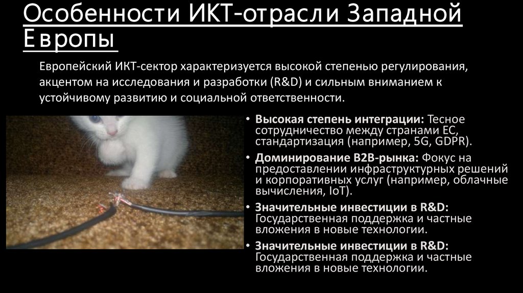 Особенности ИКТ-отрасли Западной Европы