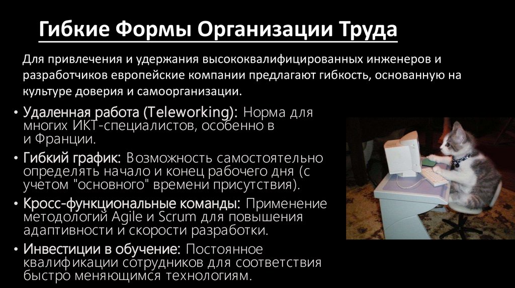 Гибкие Формы Организации Труда