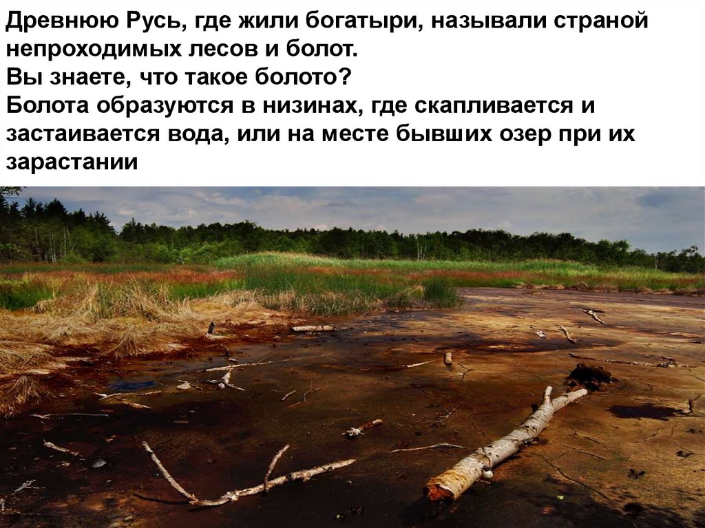 Древнюю Русь, где жили богатыри, называли страной непроходимых лесов и болот. Вы знаете, что такое болото? Болота образуются в