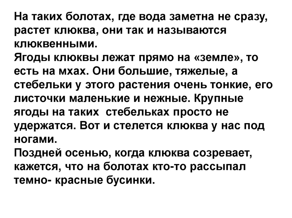 На таких болотах, где вода заметна не сразу, растет клюква, они так и называются клюквенными. Ягоды клюквы лежат прямо на