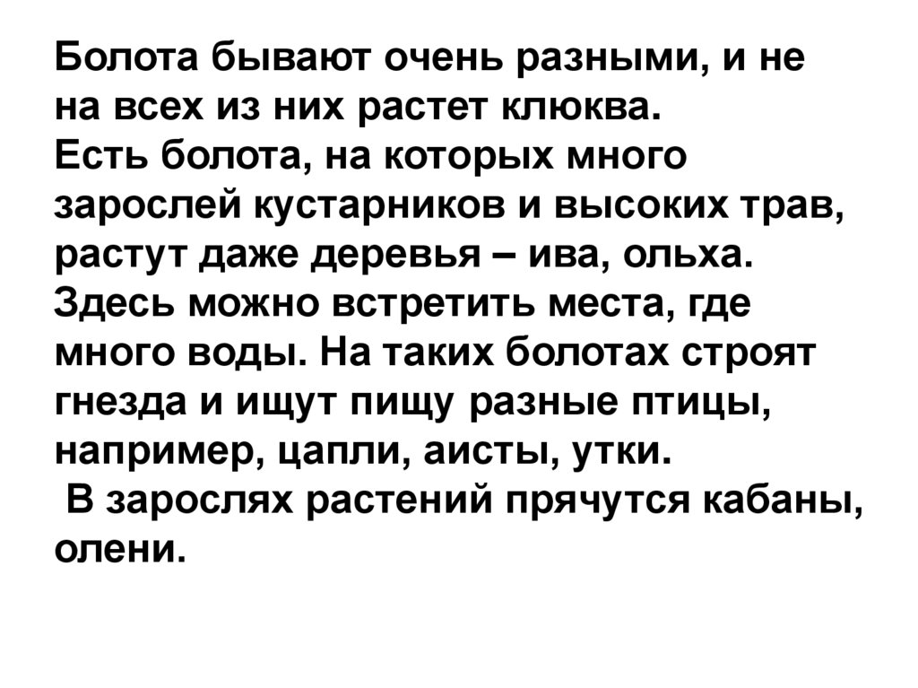 Болота бывают очень разными, и не на всех из них растет клюква. Есть болота, на которых много зарослей кустарников и высоких