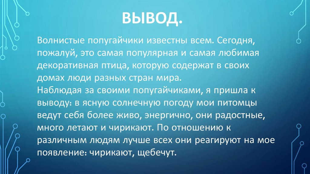 Вывод.