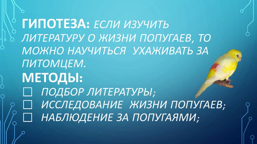 Гипотеза: если изучить литературу о жизни попугаев, то можно научиться ухаживать за питомцем. Методы:  подбор литературы; 