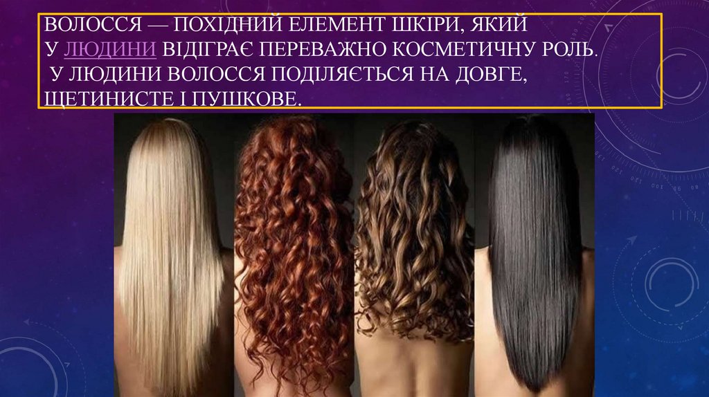 Волосся — похідний елемент шкіри, який у людини відіграє переважно косметичну роль. У людини волосся поділяється на довге,