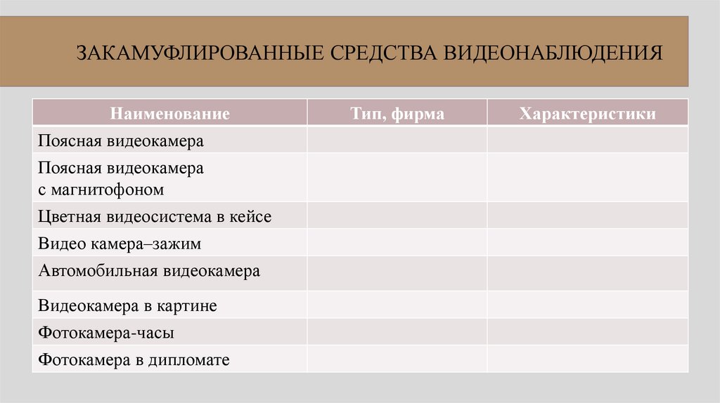 ЗАКАМУФЛИРОВАННЫЕ СРЕДСТВА ВИДЕОНАБЛЮДЕНИЯ