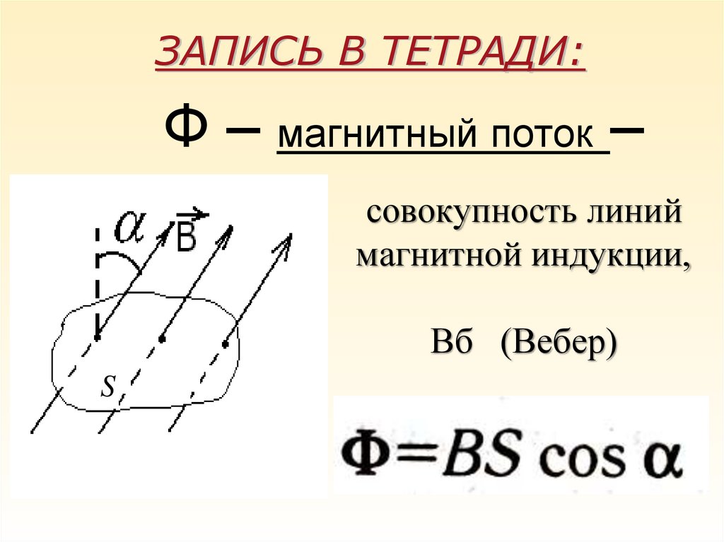 совокупность линий магнитной индукции, Вб (Вебер)