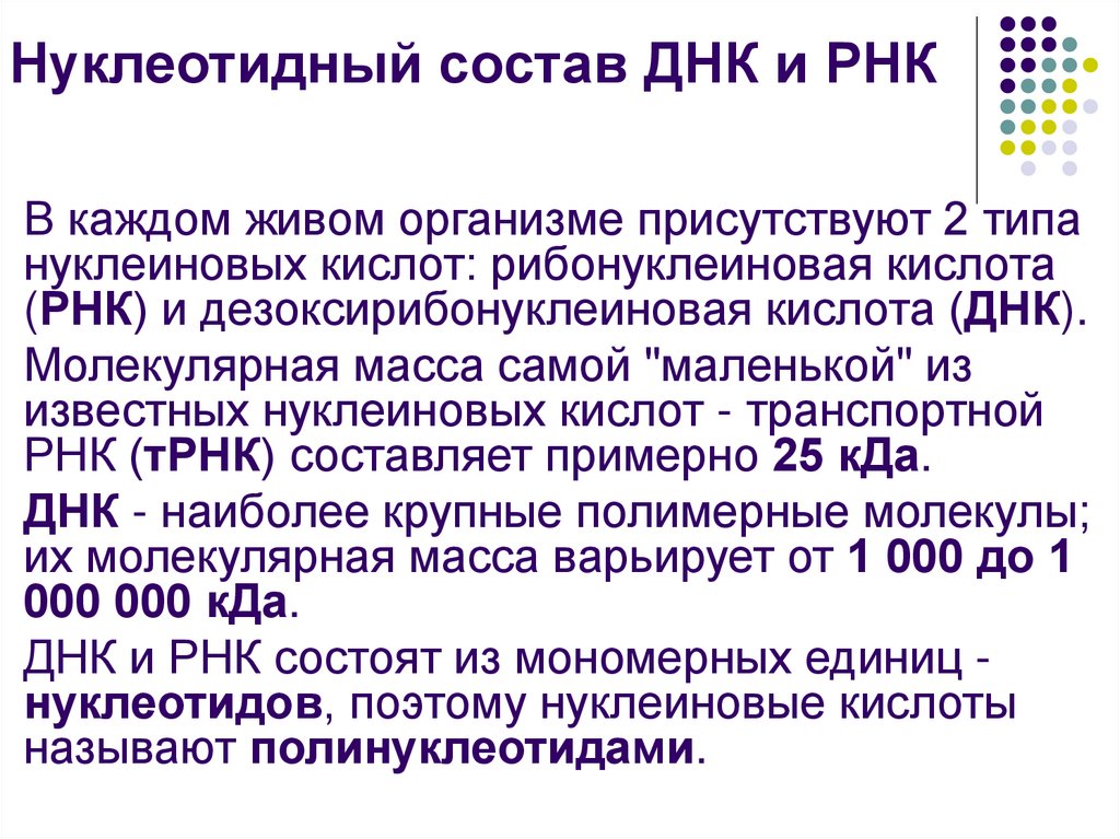 Нуклеотидный состав ДНК и РНК