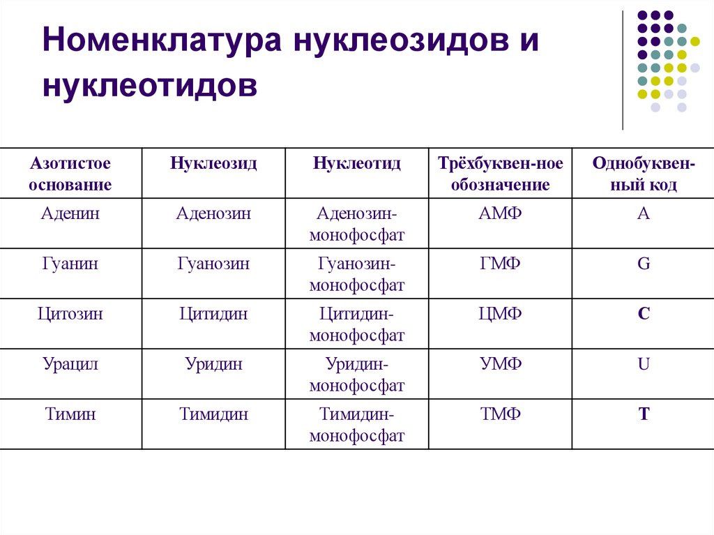Номенклатура нуклеозидов и нуклеотидов