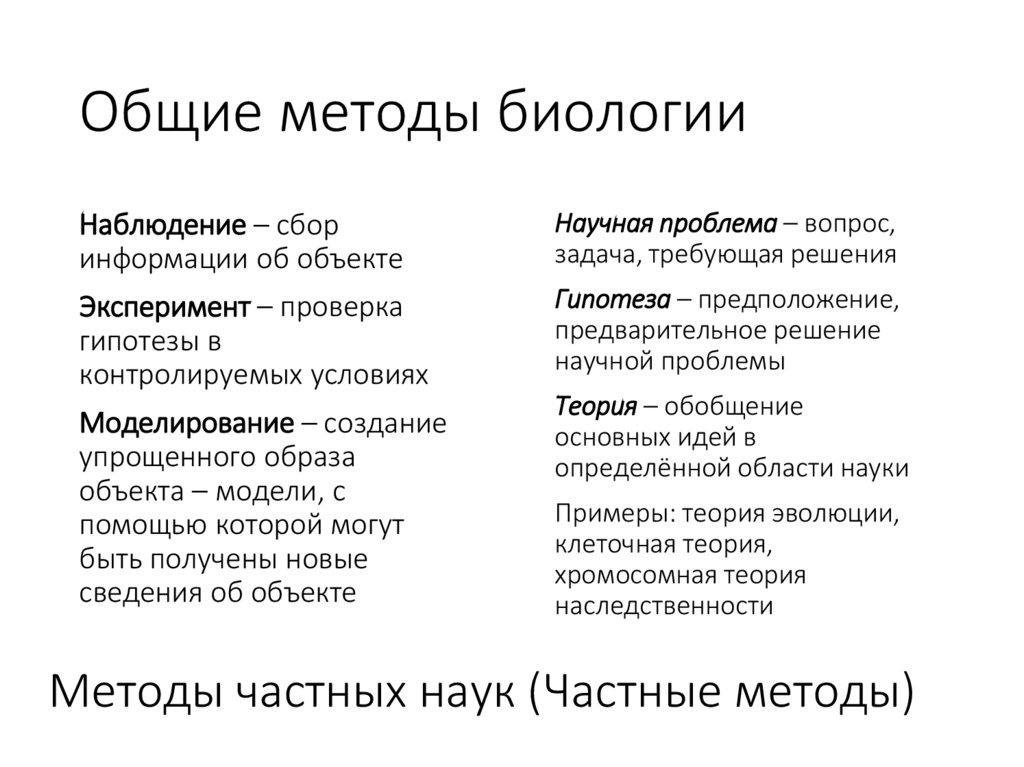 Общие методы биологии