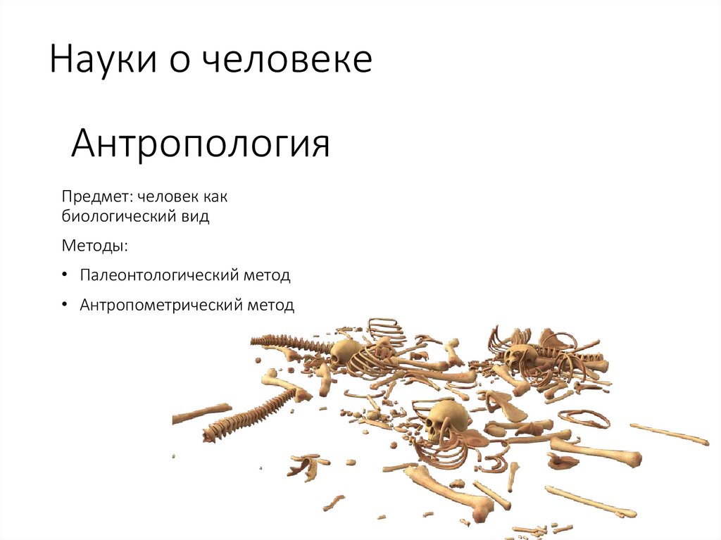 Науки о человеке