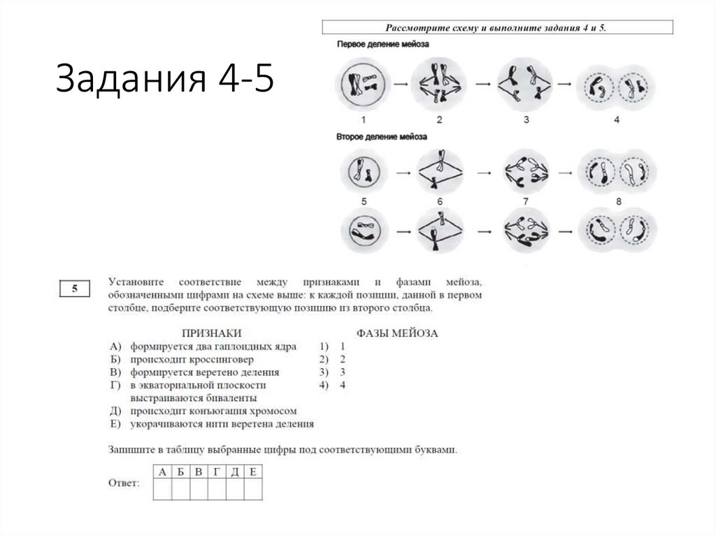 Задания 4-5