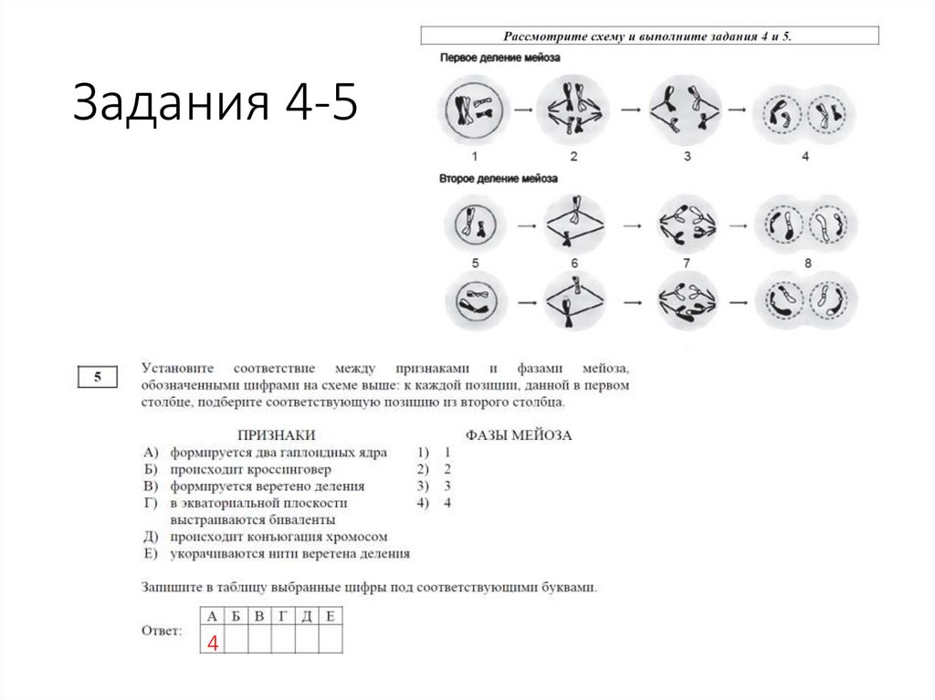 Задания 4-5