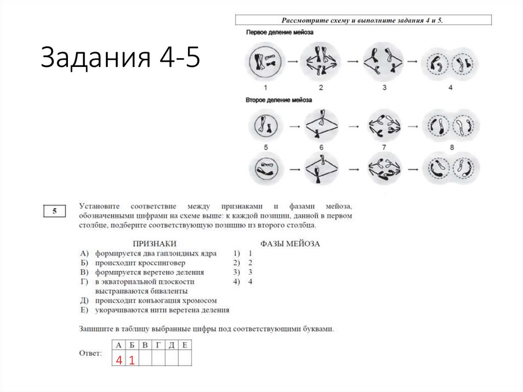 Задания 4-5