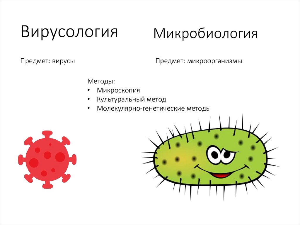 Вирусология