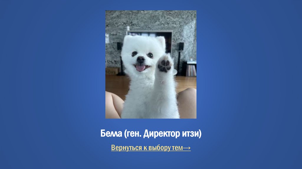 Белла (ген. Директор итзи)