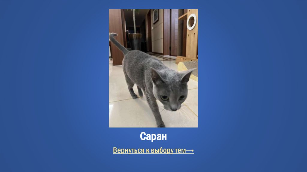 Саран