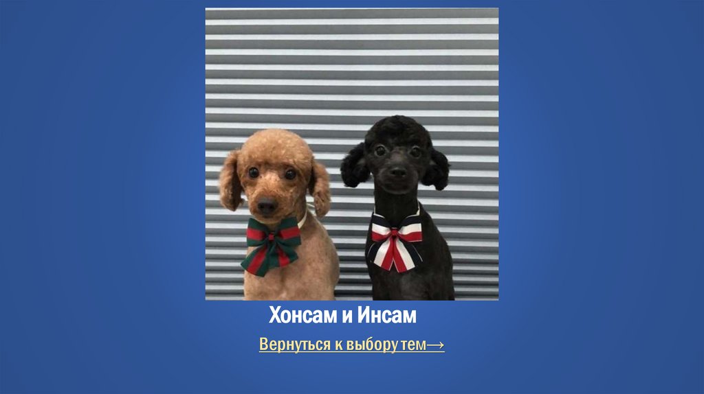 Хонсам и Инсам