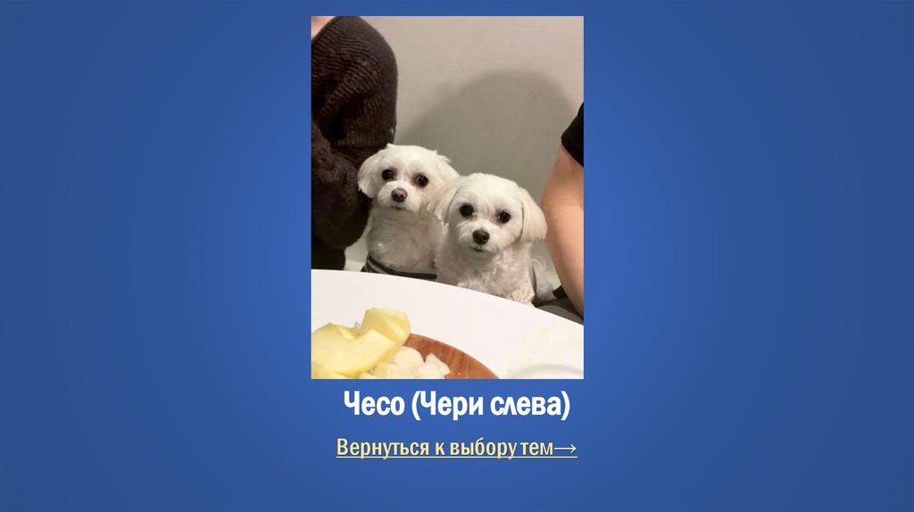 Чесо (Чери слева)