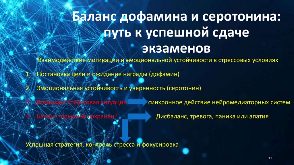 Баланс дофамина и серотонина: путь к успешной сдаче экзаменов