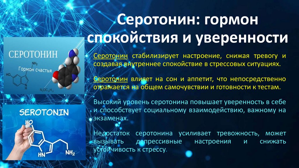 Серотонин: гормон спокойствия и уверенности