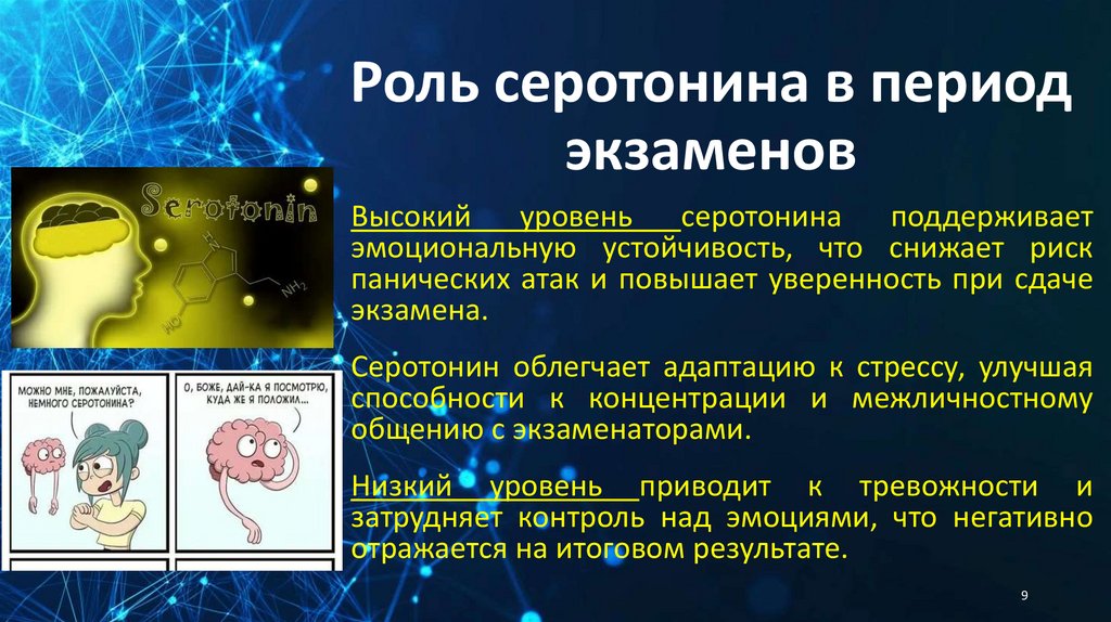 Роль серотонина в период экзаменов