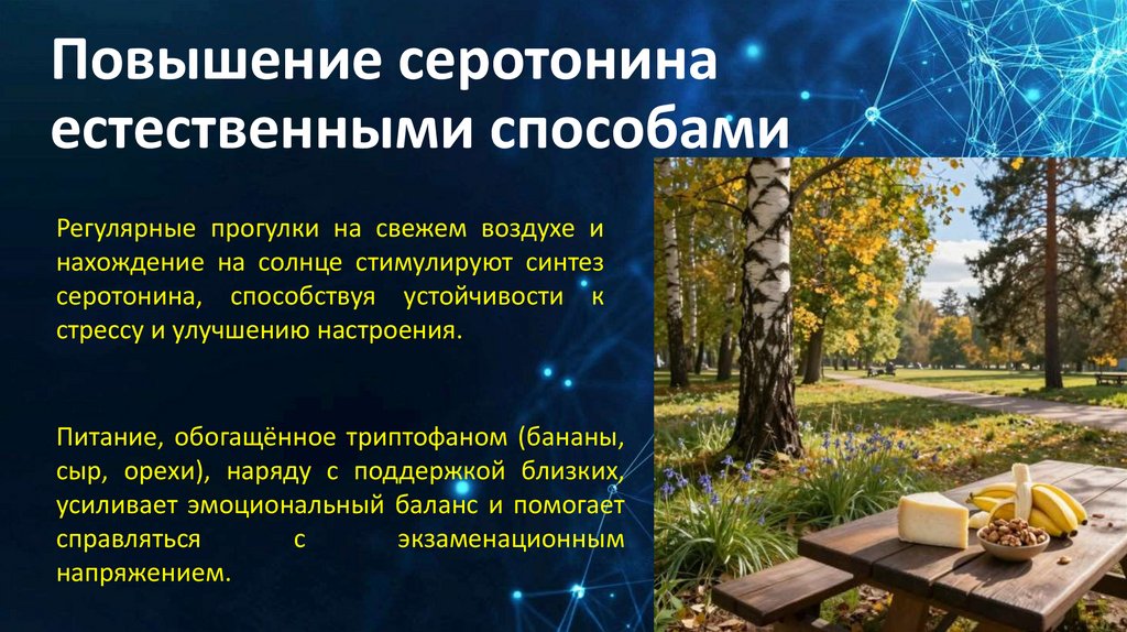 Повышение серотонина естественными способами