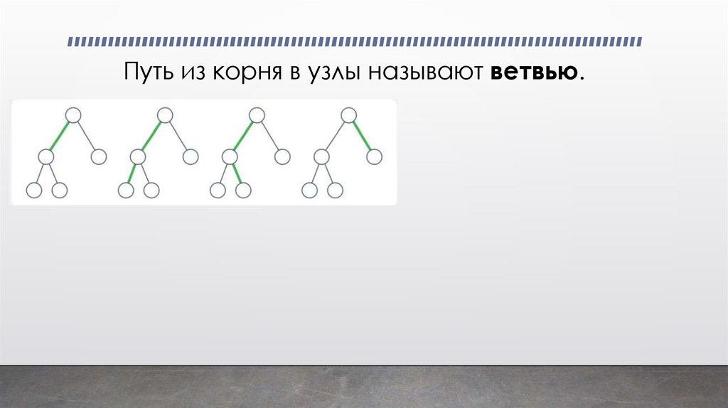 Путь из корня в узлы называют ветвью.