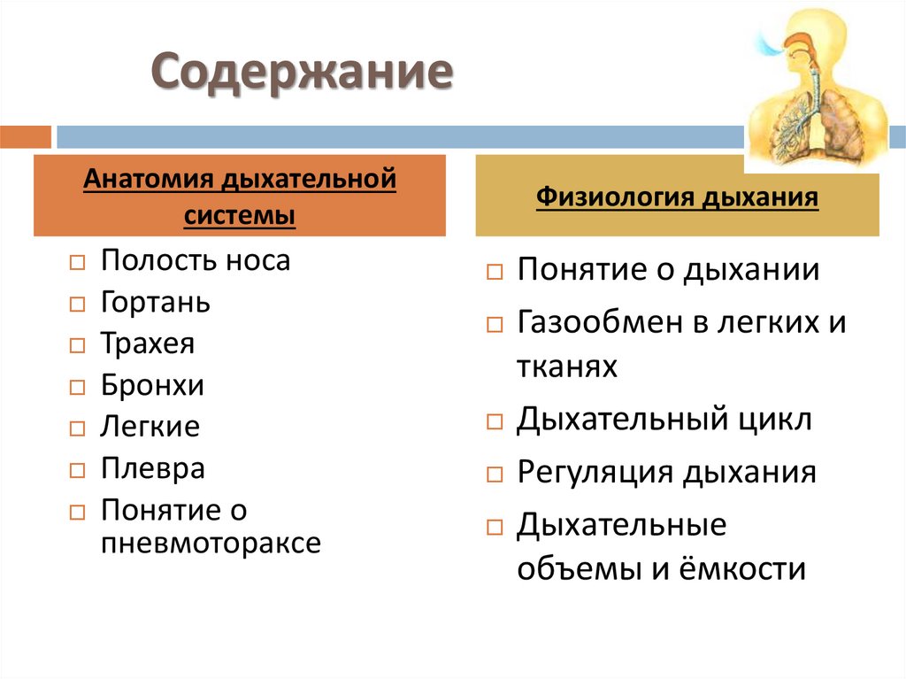 Содержание