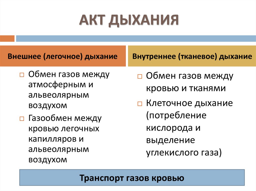 АКТ ДЫХАНИЯ