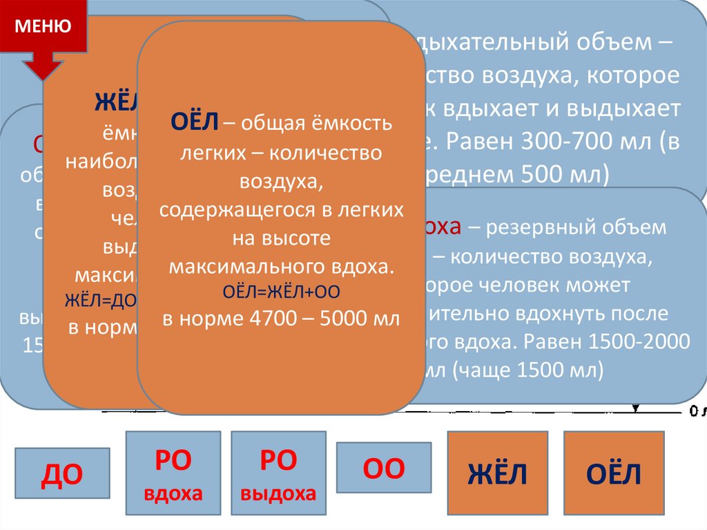 Дыхательные объемы и ёмкости