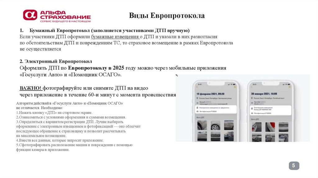 Виды Европротокола