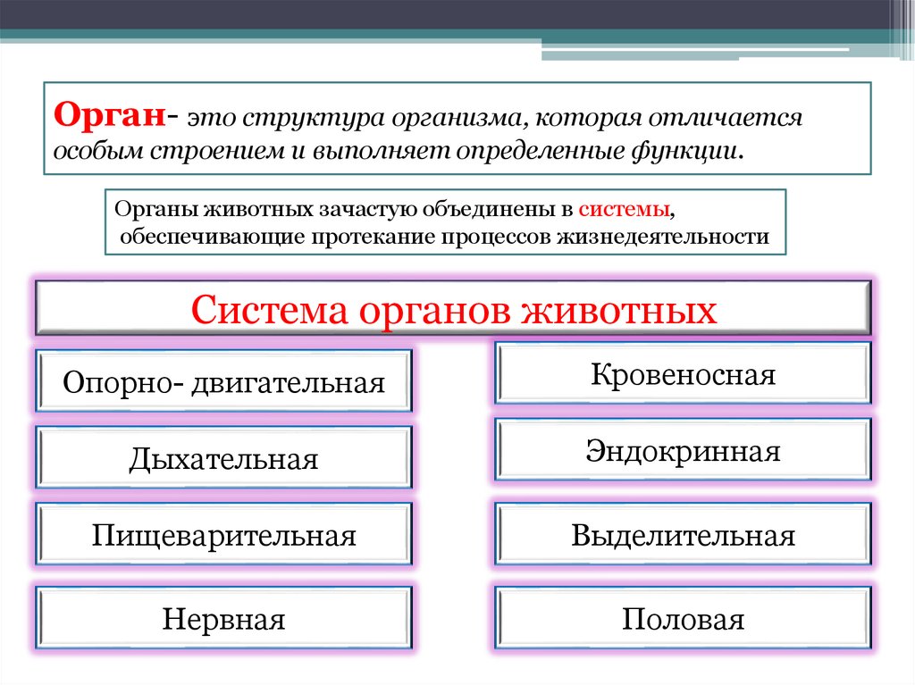 Орган- это структура организма, которая отличается особым строением и выполняет определенные функции.