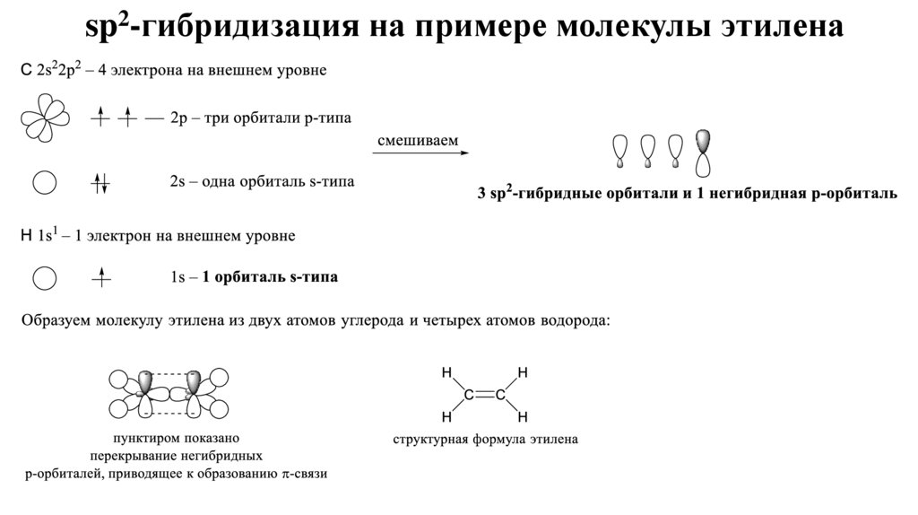 sp2-гибридизация на примере молекулы этилена