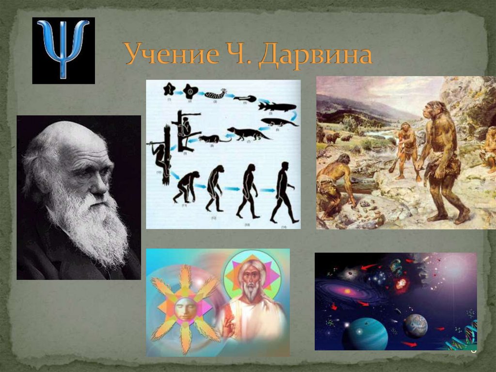 Учение Ч. Дарвина