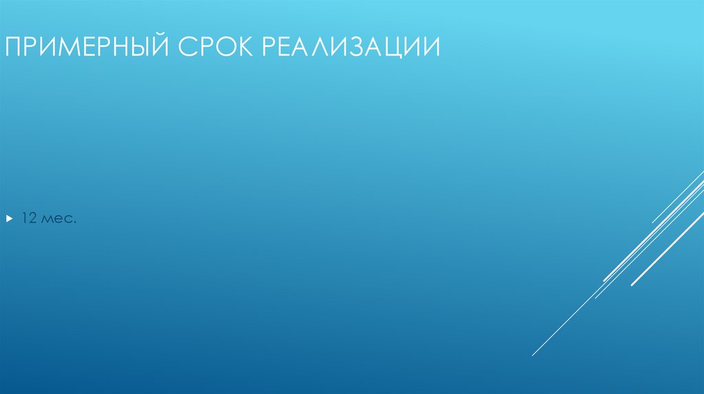 Примерный срок реализации