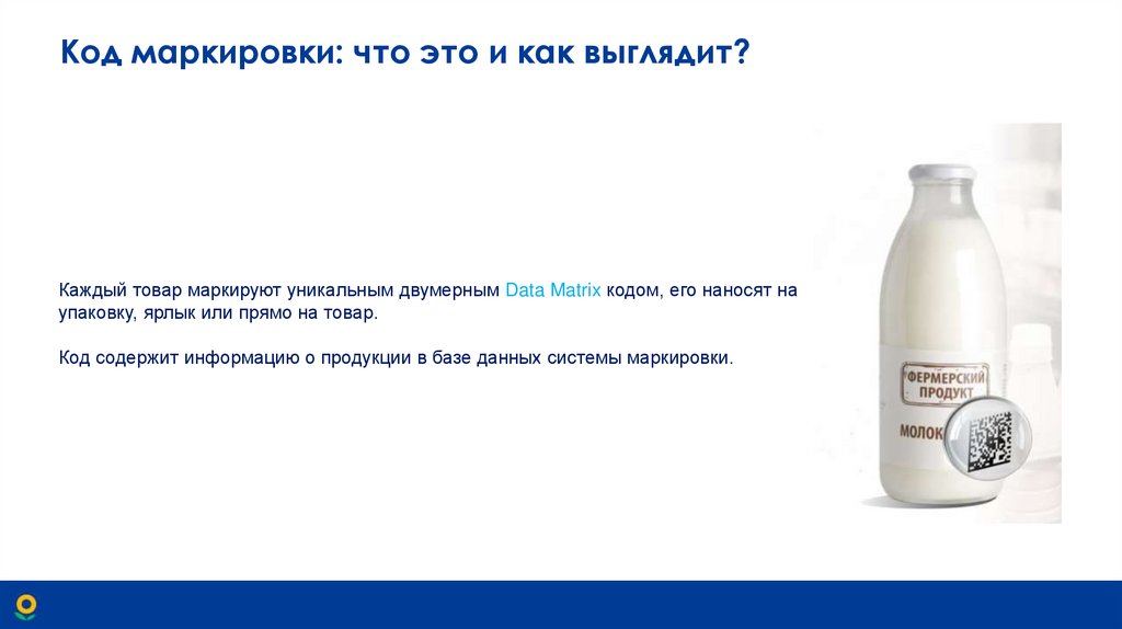 Код маркировки: что это и как выглядит?