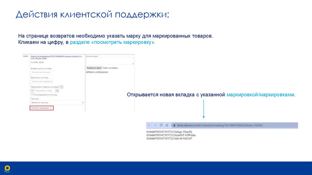 Действия клиентской поддержки: 
