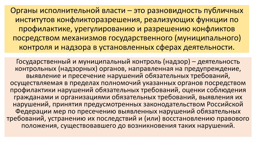 Органы исполнительной власти – это разновидность публичных институтов конфликторазрешения, реализующих функции по профилактике,