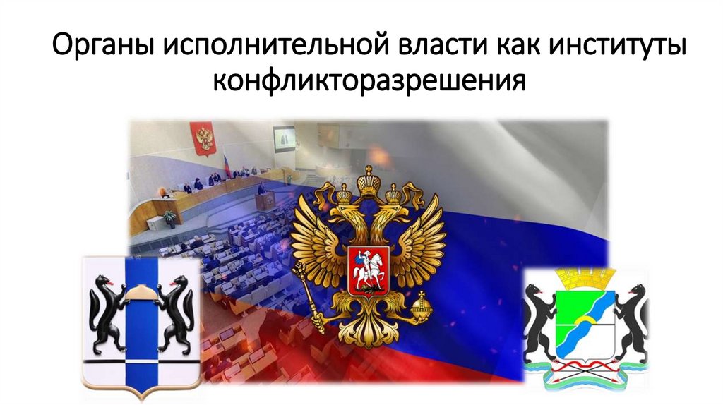 Органы исполнительной власти как институты конфликторазрешения